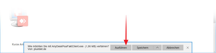fernwartung-download-iexplorer-_anydesk_plusfakt-software.jpg